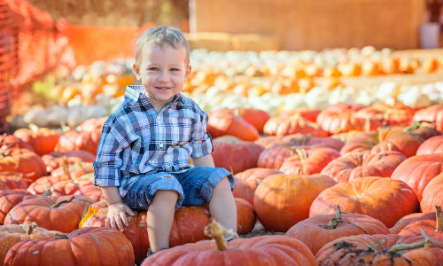 Young boy sitting on pumpkin in pumpkin patch