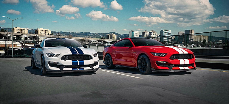 gt350 racing stripes